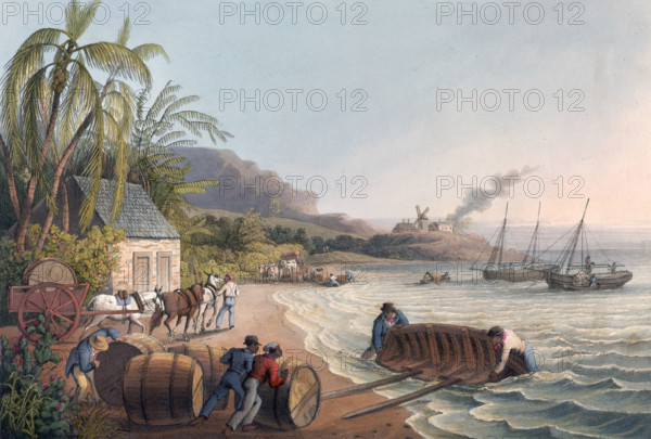 Slaves loading sugar hogsheads onto a boat, 1823. From "Ten Views in the Island of Antigua, in which are represented the process of sugar making, and the employment of the negroes... From drawings made by W Clark, etc. (With descriptive letterpress)" by William Clark. (London, 1823).