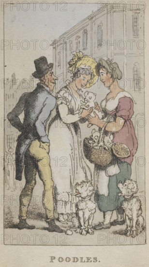 'Poodles', 1820. Three people admiring some puppies. From Rowlandsons Characteristic Sketches Of The Lower Orders Intended As A Companion To The New Picture Of London Consisting Of Fifty Four Plates Coloured.