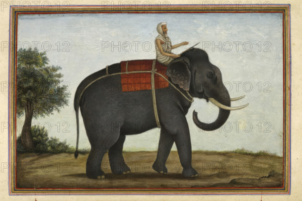 An elephant keeper riding his elephant, 1825 . From Tashrih Al Aqvam An Account Of Origins And Occupations Of Some Of The Sects Castes And Tribes Of India.