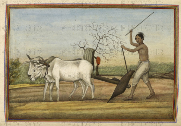 Jat, a numerous tribe spread over much of north, 1825. From Tashrih Al Aqvam An Account Of Origins And Occupations Of Some Of The Sects Castes And Tribes Of India.