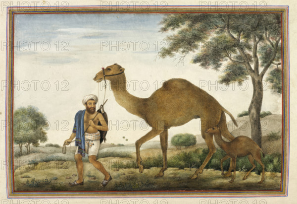 Ribari, a caste of camel-men, 1825. From Tashrih Al Aqvam An Account Of Origins And Occupations Of Some Of The Sects Castes And Tribes Of India.
