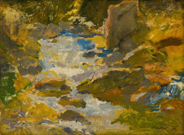 Stream in a forest, c1900.