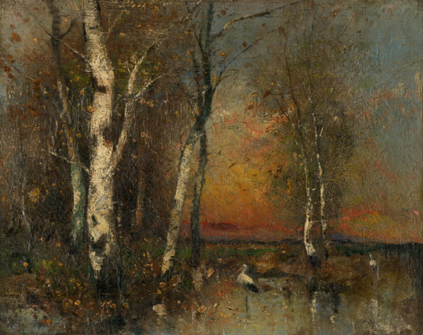 Forest landscape, 1880-1925.