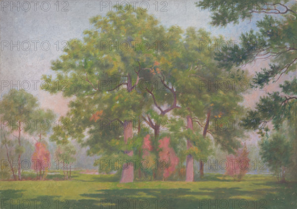 Landscape with trees, early 20th century.