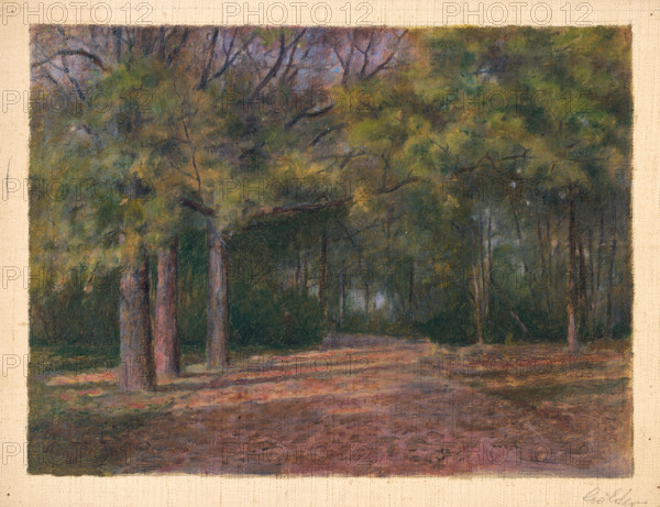 Forest II, early 20th century.