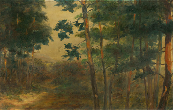 Forest view, 1902-1908.