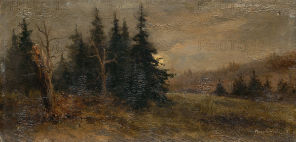 Forest landscape, 1903.