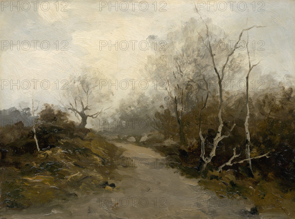 Forest road, 1880-1900.