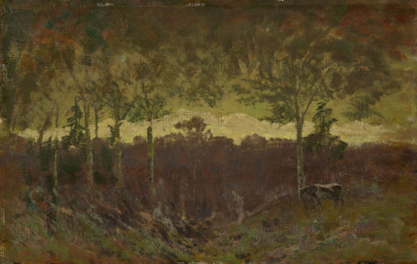 Tatras landscape, early evening, after 1900.