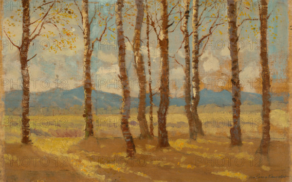 Birches in Autumn, 1900-1910.