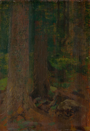 Forest study, 1890-1910.
