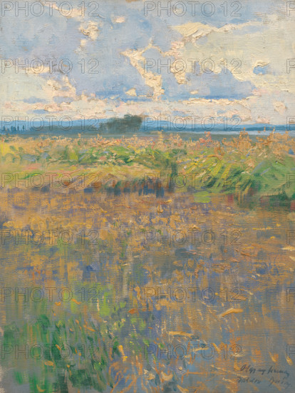 Summer landscape, 1900.