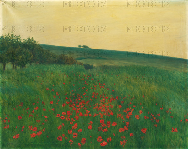 Red Poppies, 1910.