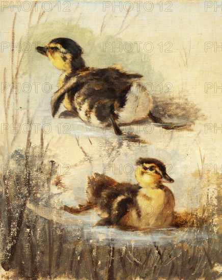 Study of Ducks on the Water II, 1840-1850.