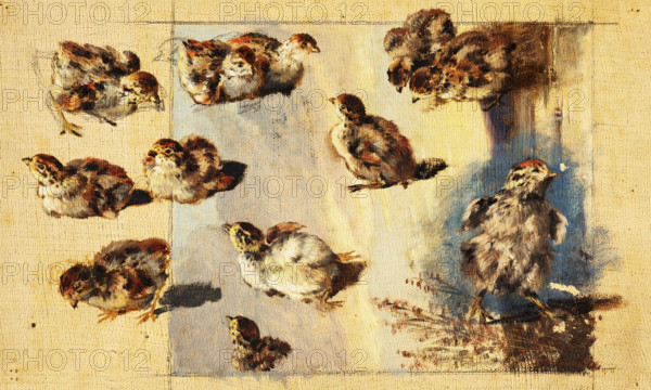 Study of Chicks, 1840-1850.