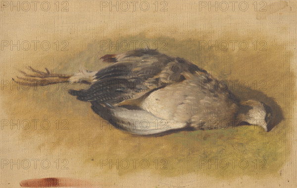 Sketch of a dead partridge, 1840-1850.