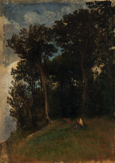 At the edge of a forest, 1890-1910.