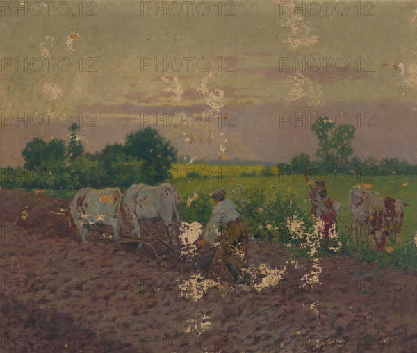 Ploughing, around 1906.