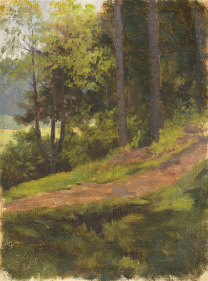 Path on the edge of a forest, 1860-1900.