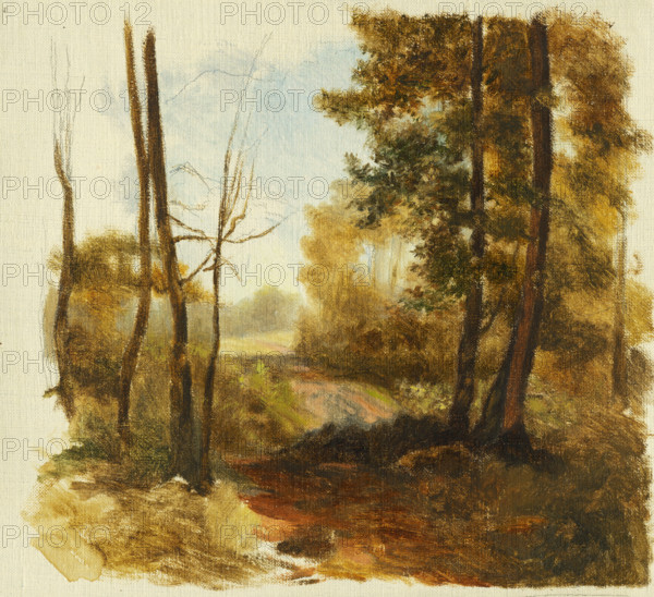 Forest path, 1850-1900.
