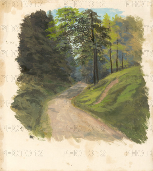 Mountain road, 1850-1900.