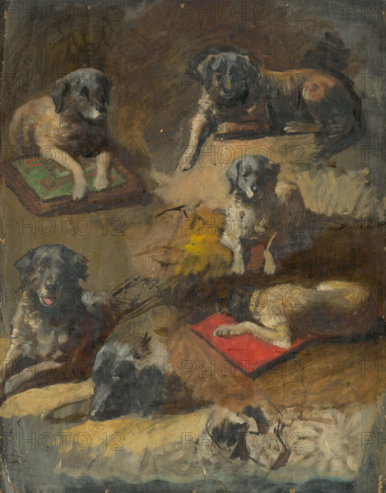 Study of a Dog, 1860-1900.