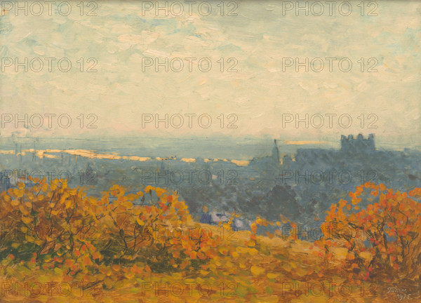View of Bratislava, 1925.