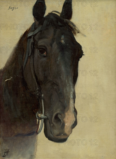 Head study of a black horse, 1890-1900.
