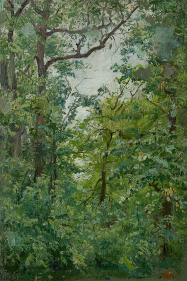 From the Park, 1900-1920.