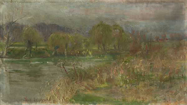 Landscape with swamp, c1900.