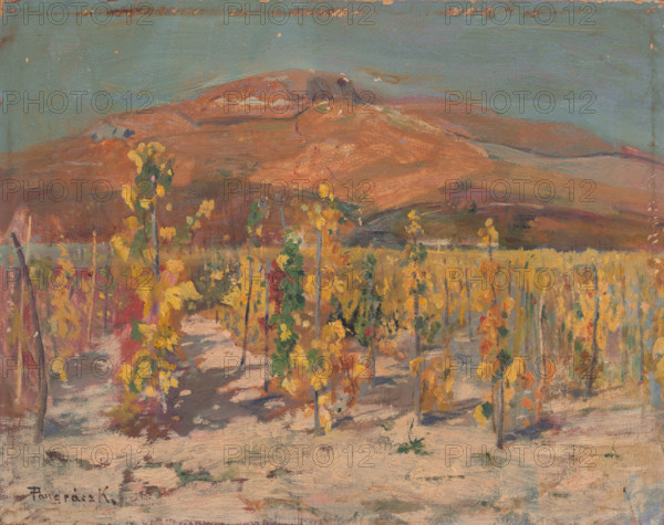 Vineyards at the foot of Mount Zobor, 1930-1940.