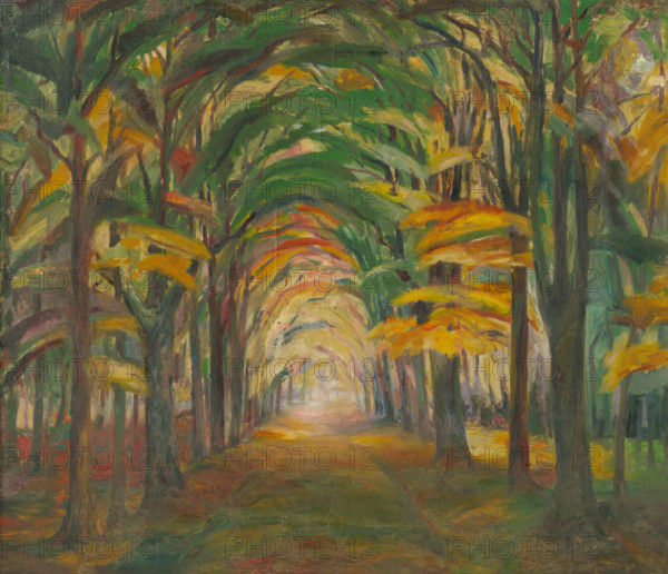 Avenue of trees, 1923-1928.