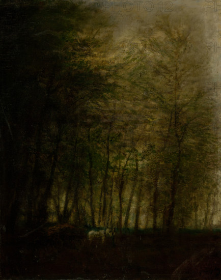 Wagon in the Woods, 1880-1900.