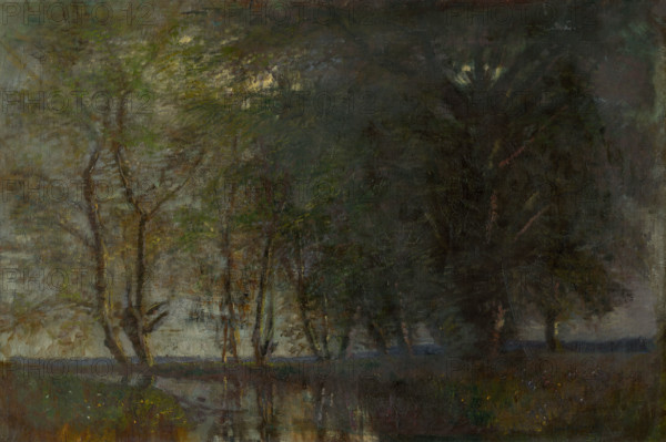 Trees by the Váh, 1870-1900.