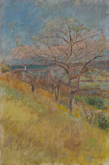 Valley with Trees in Bloom, 1890 - 1900.