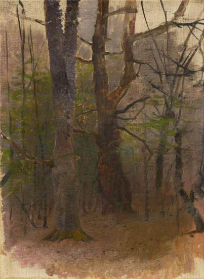 Early Spring. Forest, 1876 - 1877.