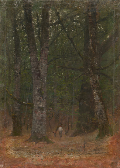 Man in the Woods, 1890-1900.