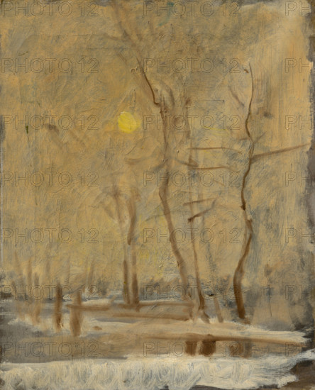 Winter Sun in a Landscape with a Brook. Motif from Strázky, 1900-1910.