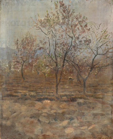 Trees in Blossom, 1890-1895.