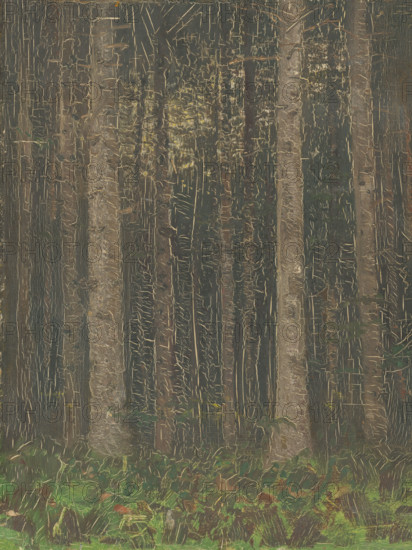 Forest Interior, 1880-1885.
