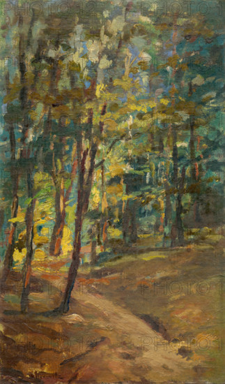 Forest interior, 1895-1905.