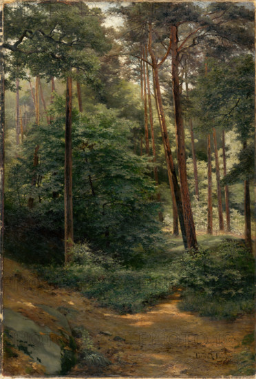 Forest, 1894.