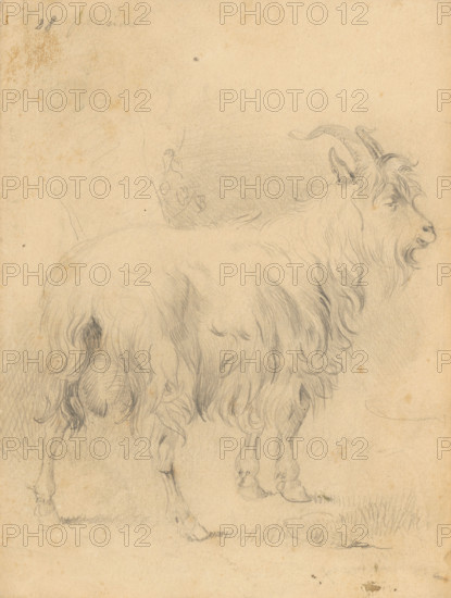 Drawing II., 1850/1857. Additional Info: Drawing album (40 sheets).