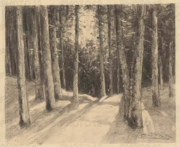 Forest, 1901-1937.