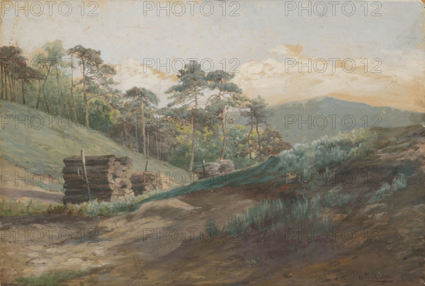A forest valley with pine trees, around 1894-1895.