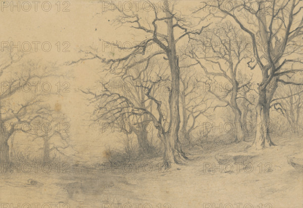 Study of trees, 1897.
