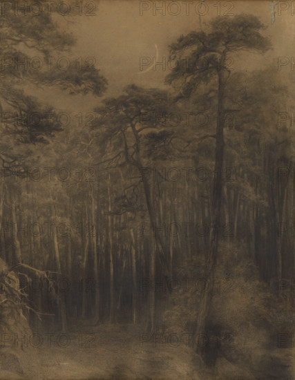 Pine forest, 1892-1893.
