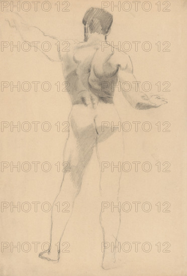Male nude from behind, 1880-1904.