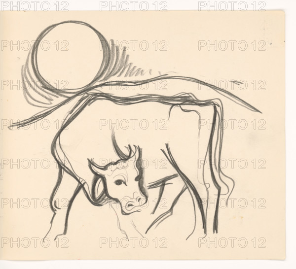Cow in the countryside, 1937.