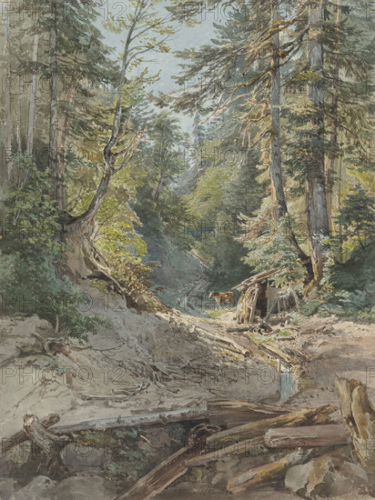 Inside the forest, 1842.